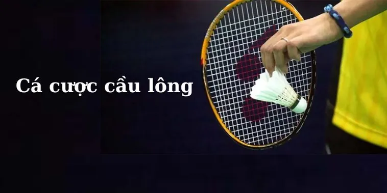 Bật Mí Cách Chơi Cá Cược Cầu Lông Tại Dola789 Thắng Lớn Trong Tầm Tay