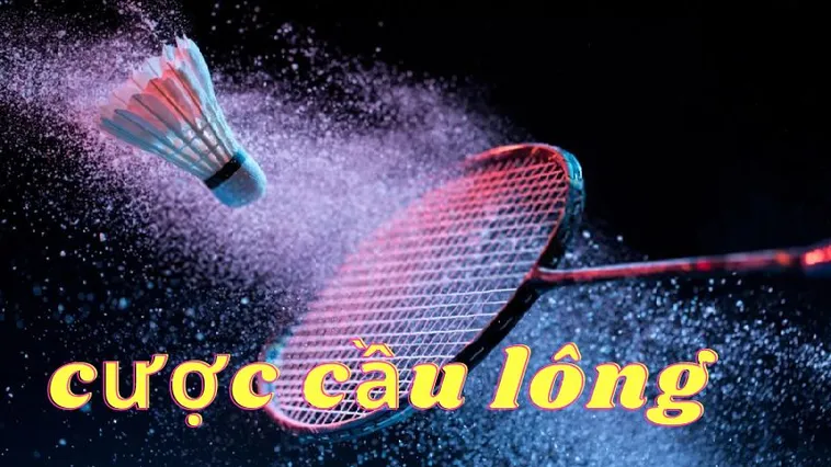 Bật Mí Cách Chơi Cá Cược Cầu Lông Tại Dola789 Thắng Lớn Trong Tầm Tay