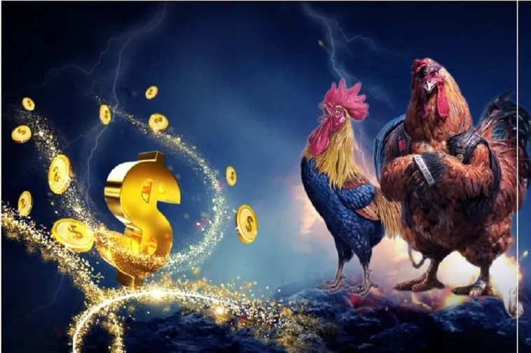 Trải Nghiệm Đá Gà Dola789 Đỉnh Cao Rinh Ngay Thưởng Lớn Về Túi