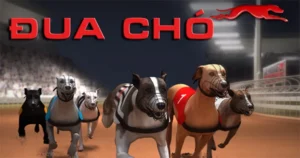 Bí Kíp Cá Cược Đua Chó Dola789 Thắng Đậm Trong Từng Vòng Đua