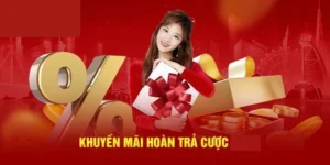 Chế Độ Hoàn Trả Không Giới Hạn Tại Nhà Cái Dola789 Siêu Hời