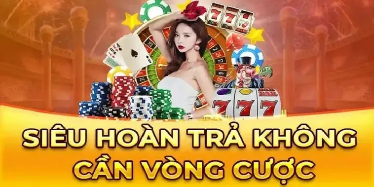 Chế Độ Hoàn Trả Không Giới Hạn Tại Nhà Cái Dola789 Siêu Hời